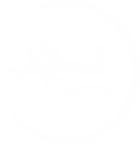 FlyDreams Publications main logo